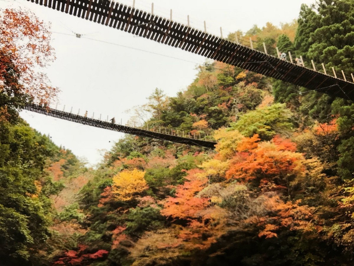 🌉 모미기 현수교 (모미기 쓰리바시)